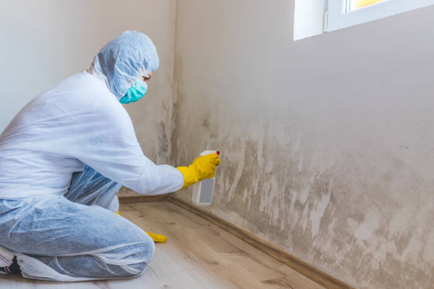 Bathroom Mold Removal assessment in Thompsontown bathroom